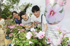 수원시, 제24회 전국 무궁화 수원축제 개최