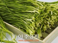 비아그라노래타운 | 이것만 먹으면 나도 정력왕… '천연 비아그라' 베스트7