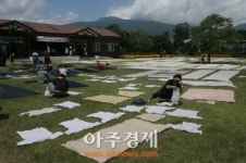 또 가고 싶다…제주 천연염색 전통 먹거리 체험 행사