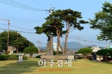 홍성군, 천주교 순교의 중심지로 세계인의 이목 집중