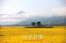 하동군, 30일 안도현 초청 평사리 토지 시인학교 개강