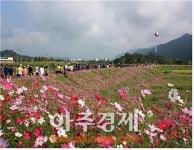 제5회 연천읍 코스모스 둘레길 걷기 행사 개최