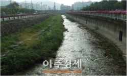 창원시, 친환경 생태하천 복원사업 추진 박차