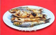 [포토] 명절 증후군 날려버릴 어촌여행지 추천