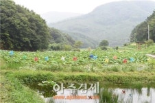 양주 백석 홍복 생태학습장
