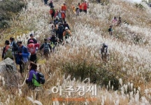 국립자연휴양림 5선으로 선정된 ‘오서산’으로