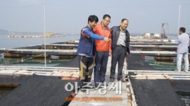 서산시  창리포구 ‘해상 낚시터’ 전국 강태공이 몰려 오고 있다.