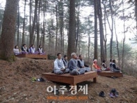 국내 최대 잣나무숲 활용한 힐링명소 경기도에 탄생