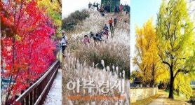 색(色)다른 보령의 늦가을, 눈과 입이 즐겁다.