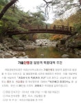 속리산 무질서 특별단속 내달 9일까지 실시…걸리면 30만원!