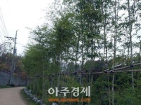 군포시 명품산책길 될 골프장 둘레길 완공