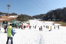 [포토]비발디파크 스키월드 오픈…500명 스키어 추워도 좋아