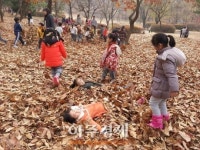 고양시, 정발산공원에 낙엽놀이터 조성