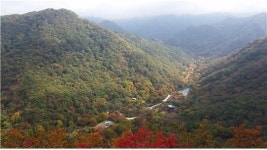 을미년 양의 해… 양각산·양도 등 전국 양 지명 40개