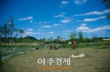 연천군 전곡리 유적지 등 사적 4개소 현상변경 허용기준 대폭 완화