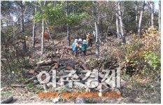 충남, 연27만 명 규모 산림 녹색일자리 제공
