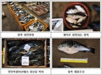 제주, 복어류 생산량 급증