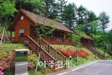 <가평, 설 연휴에 가볼 만한 명소 5곳>