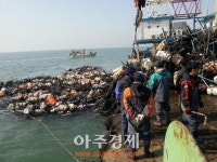 안산시의회 신성철 부의장 김양식장 피해 수습 나서