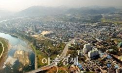 연천군, 집중적으로 위험수목 제거한다