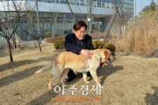 성남시 유기견 행복이 늠름한 모습으로 돌아와