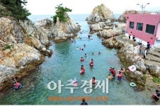 [미래의 농어촌] 바닷가에서 삼시세끼…꼭 가봐야 할 어촌체험마을