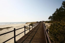 붉게 물든 노을 아래서 솔향 짙은 해송 아래서~