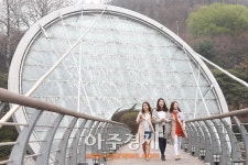 [AJU포토] 봄맞아 아쿠아아트 육교 워터스크린 가동