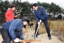 군포시 철쭉으로 더 푸르고 화려하게