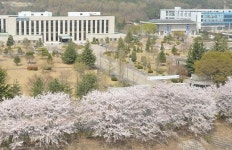 한국조폐공사, 화폐박물관 벚꽃길 벼룩시장 구경오세요