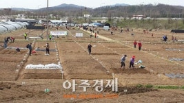 성남시 도심 속 농촌 시민농원 개장
