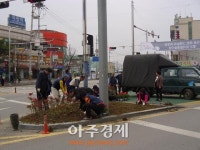  의왕시 부곡동 바르게살기협의회 꽃식재
