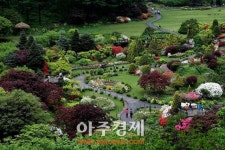 가평 쁘띠프랑스·아침고요수목원…한국관광 100선 선정