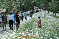 옥정호 구절초 테마공원, 야생화 관광자원화 공모 선정