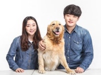 서울연희실용전문학교, 애완동물학과에서 동물매개치료사 양성