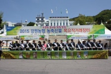 강원농협 목요 직거래장터 도청 앞에서 열려