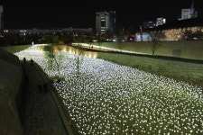 5월엔 DDP에 가보자..전시 공연에서 타요버스까지~