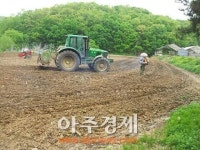 백학면주민자치위원회 휴경지 율무경작
