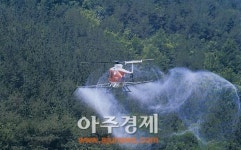 사천시, 소나무재선충병 피해확산 방지 노력
