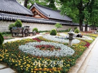 싱그러운 꽃 보며 초여름 무더위 탈출