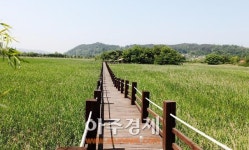화성시, 내달 3일  화성 비봉습지공원’ 개장