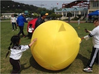 제주시 어도초 살리기 공동주택 사업 추진