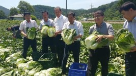 서문경농협 봄배추 ‘정가수의매매’ 시범사업 첫 출정식