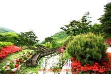 메르스 피해 면역력 높이는 청정자연 숲 양평쉬자파크로 떠나자