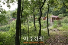 임실 세심자연휴양림 손님맞이 한창