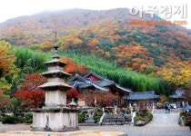밀양시, 밀양 관광 20선 선정...10월~11월쯤