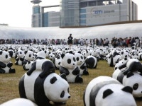 롯데백화점, 세계적 공공미술 ‘1600 판다+’ 부산지역에 선보여