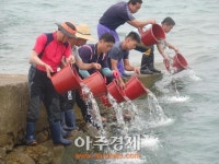 고창군, 수산종묘 조피볼락 구시포‧동호해역 방류