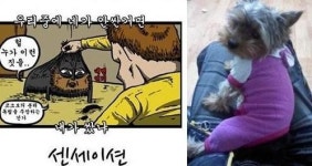 기·승·전·犬 마음의 소리 실사판, 강아지 센세이션 비주얼 반전