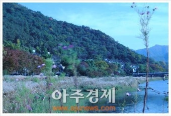 전주천·삼천, 쉬리가 맘껏 뛰노는 생태하천으로 복원